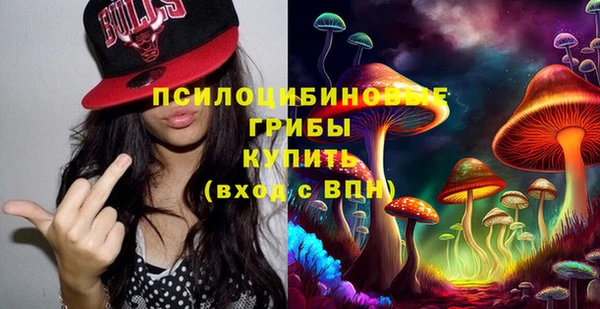 ECSTASY Майский