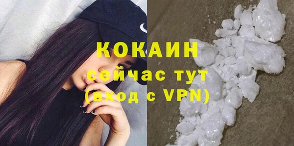 ECSTASY Майский