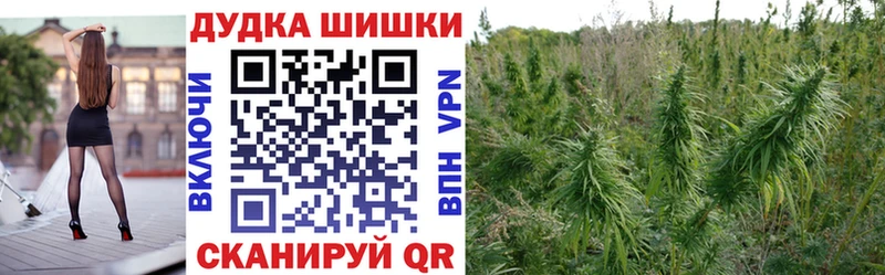 Бошки Шишки AK-47  как найти закладки  Агрыз 